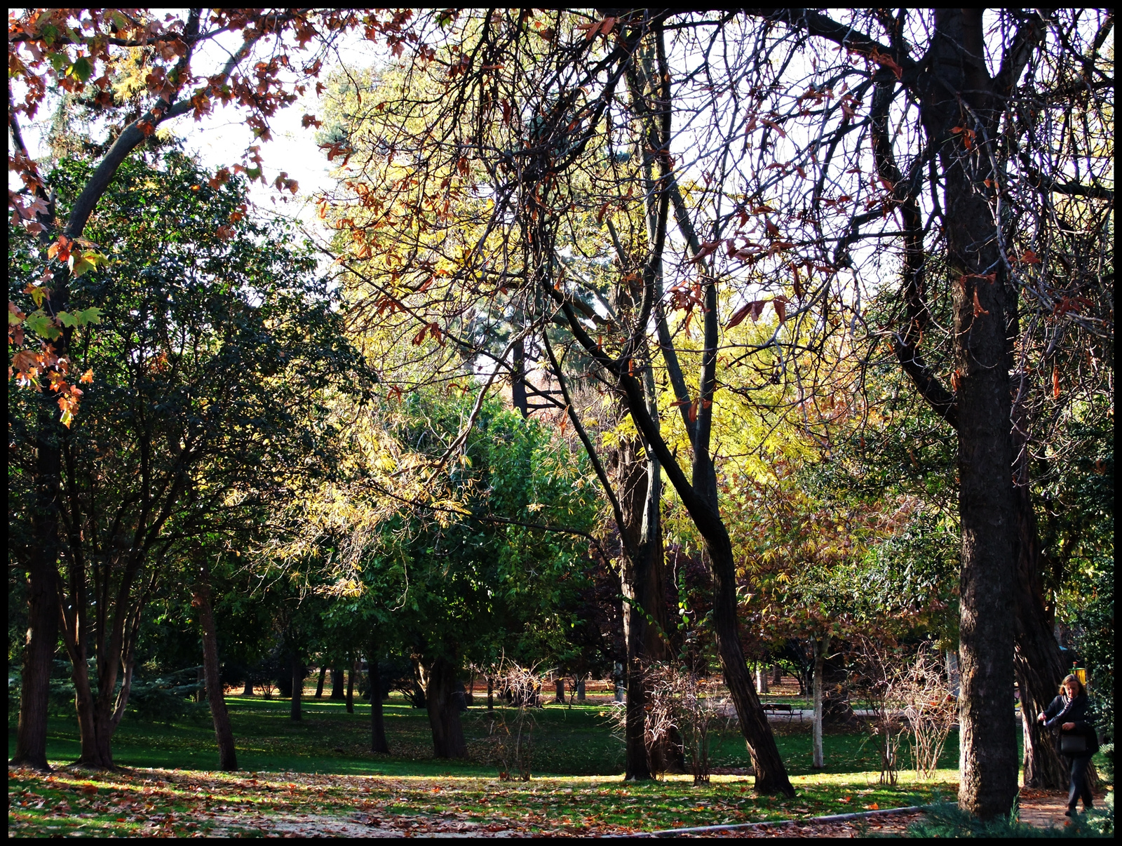 Parque Retiro 05.