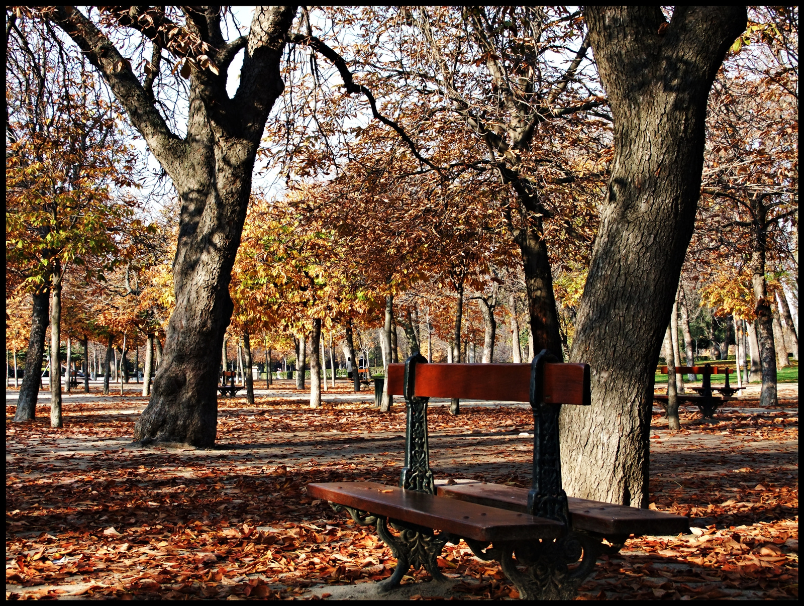 Parque Retiro 06.