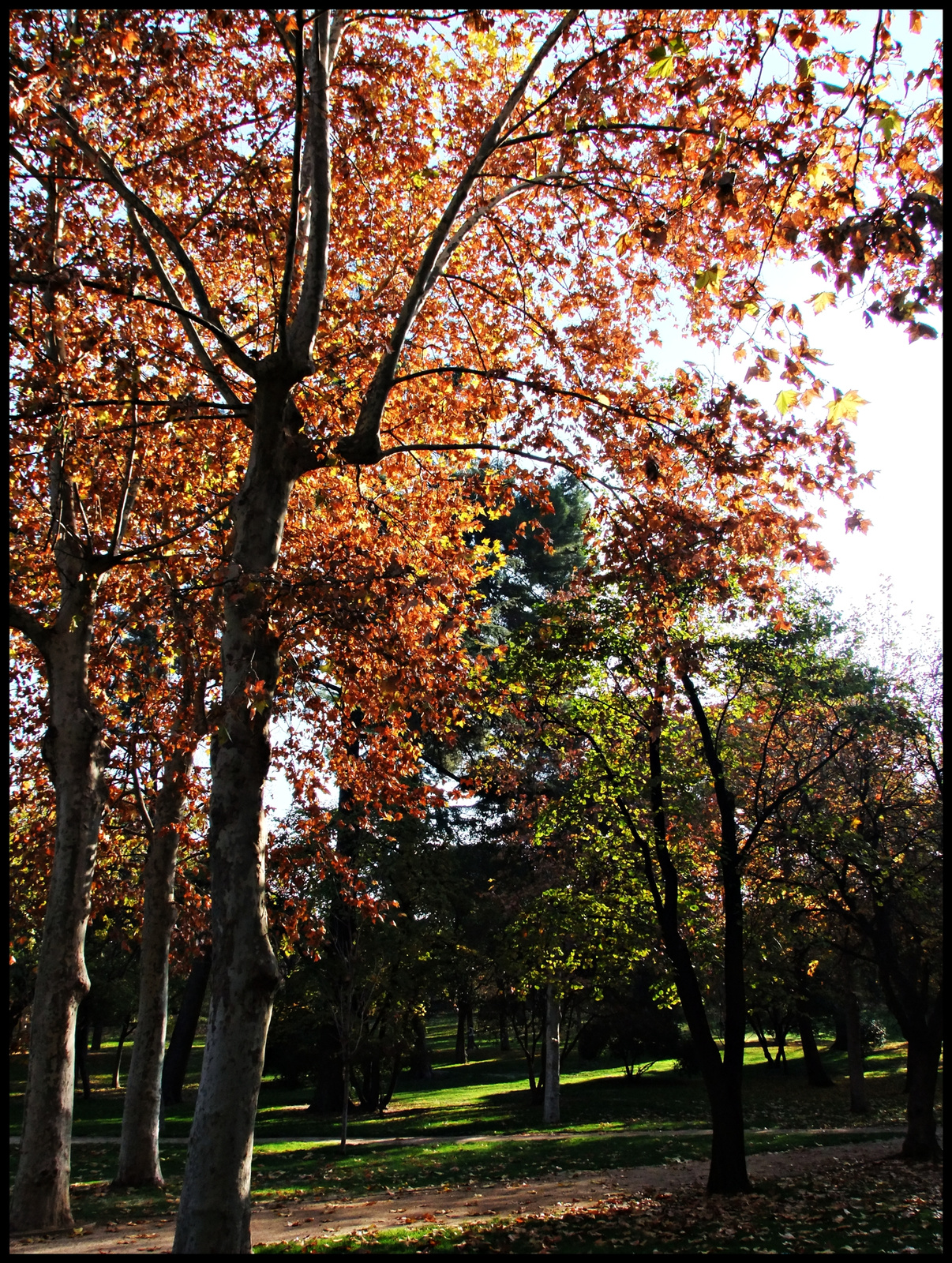 Parque retiro 07.