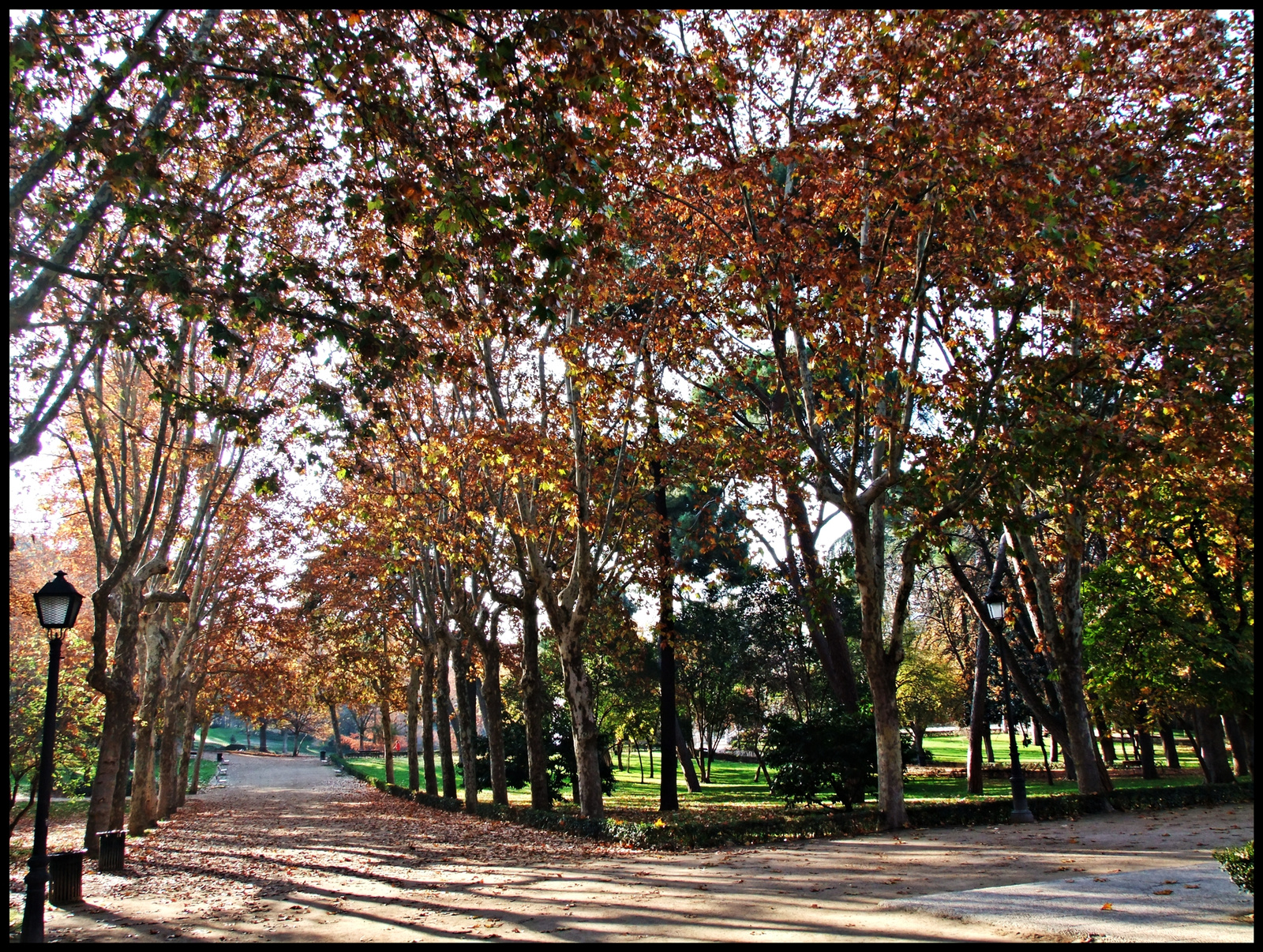 Parque Retiro 08.