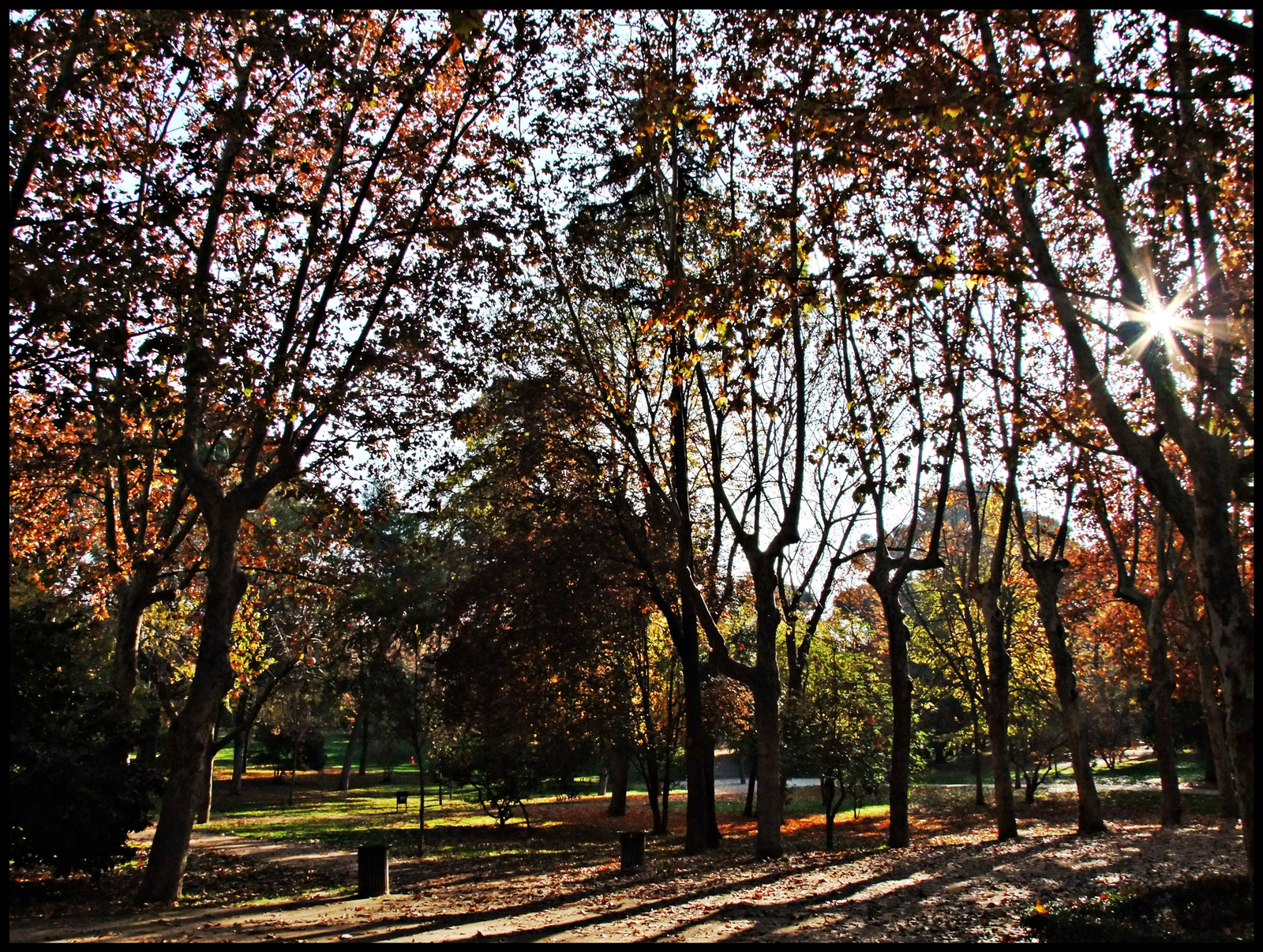 Parque Retiro 09.