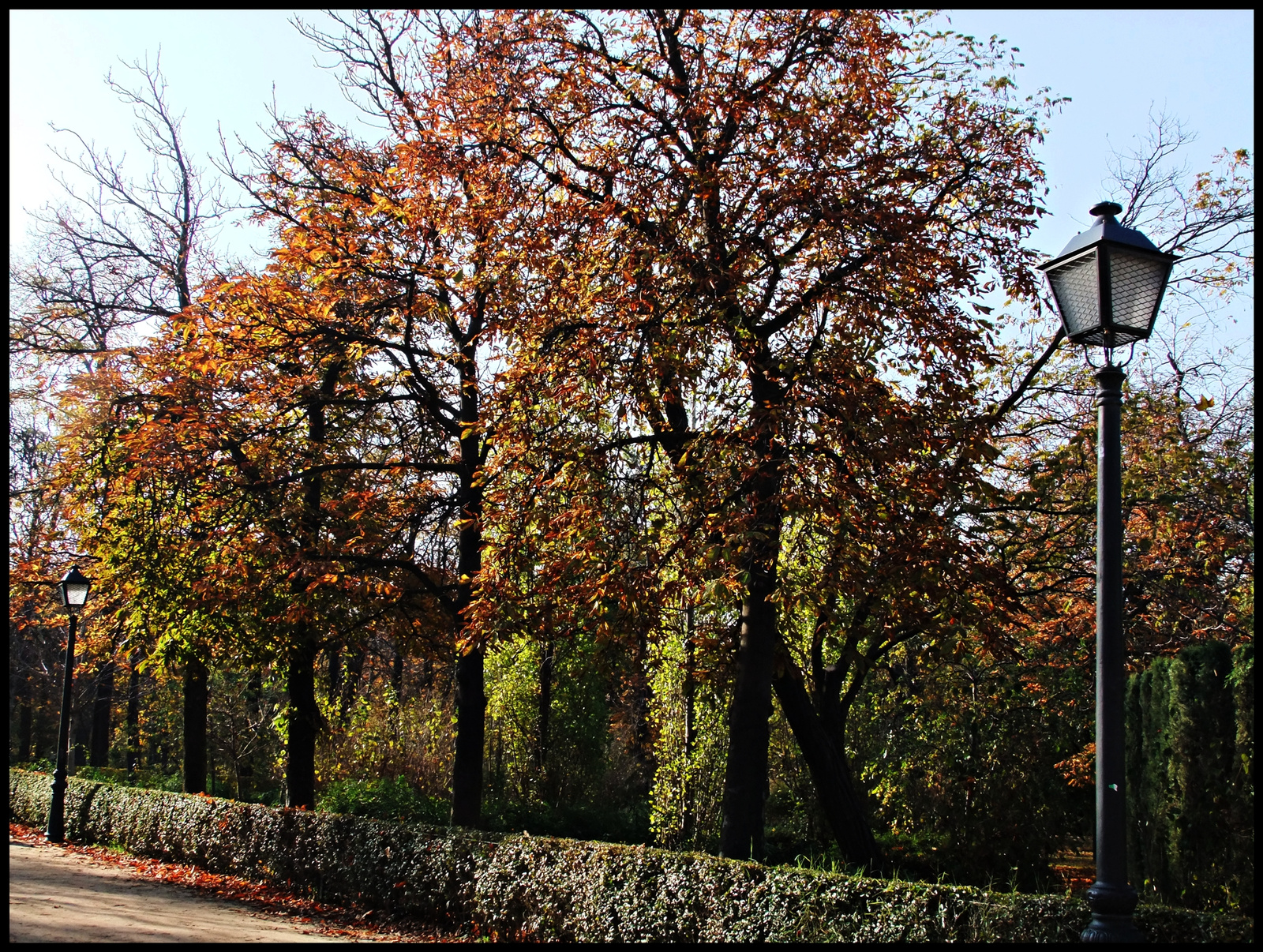 Parque Retiro 19.