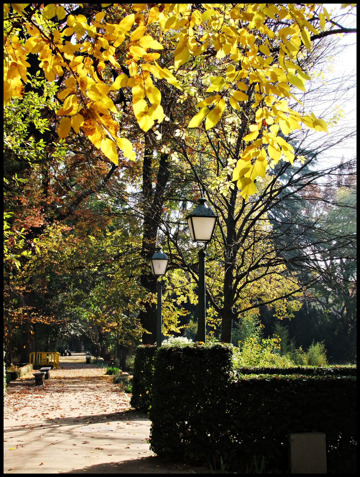 jardín botanico