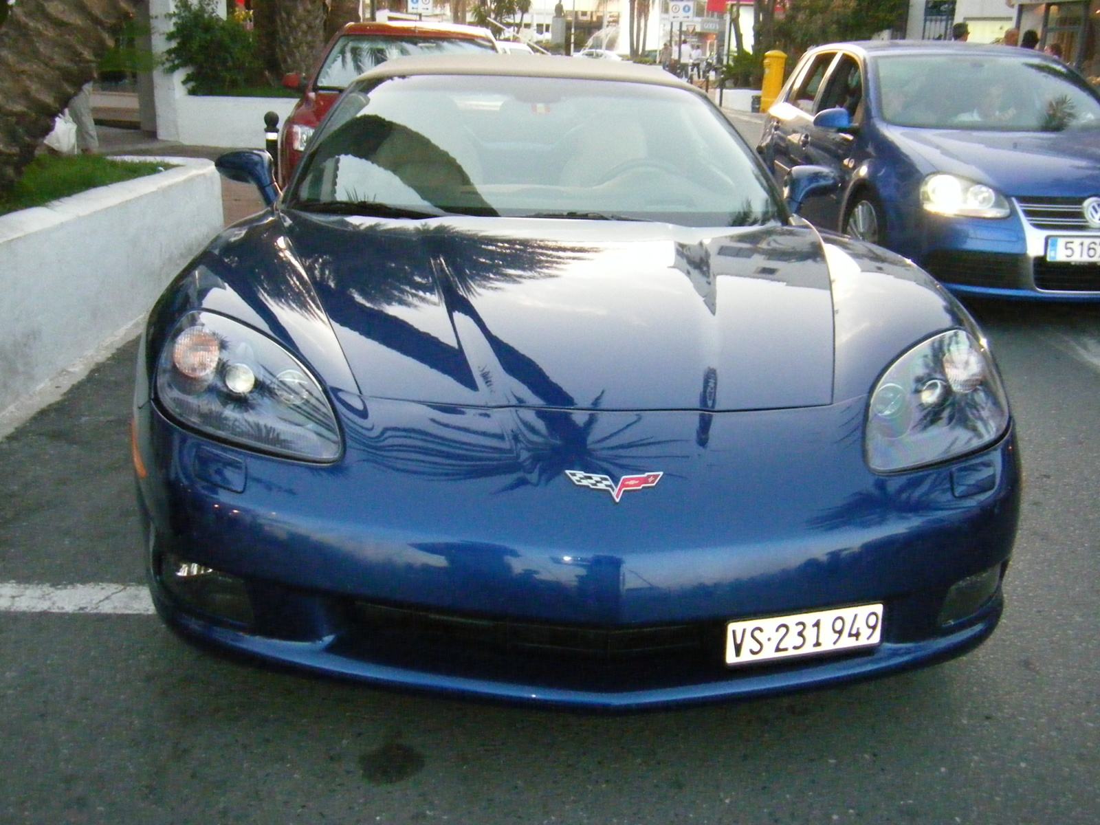 pálmafás corvette