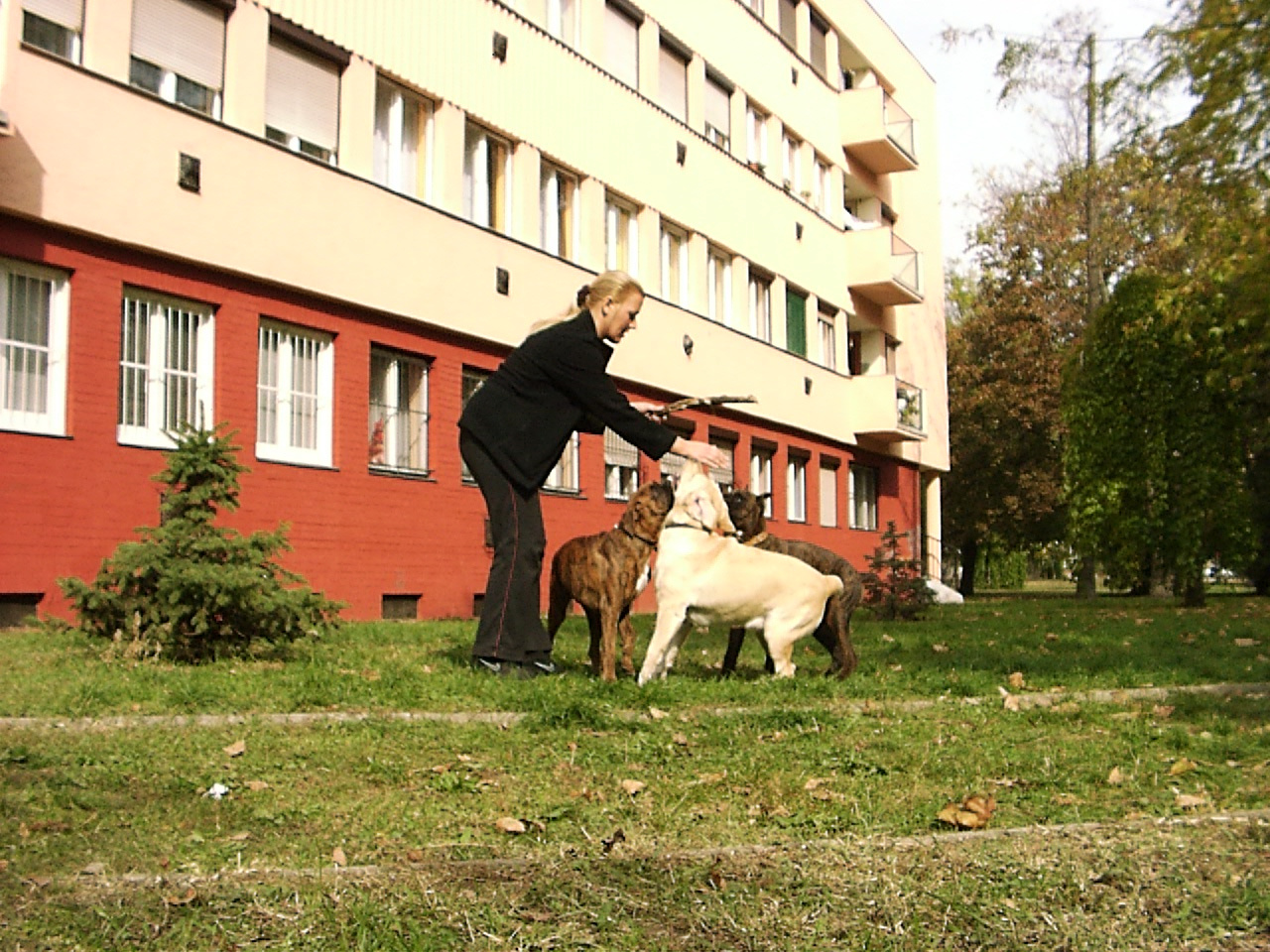 Kutya és gazdája a Béke téren 2007.10.12.22