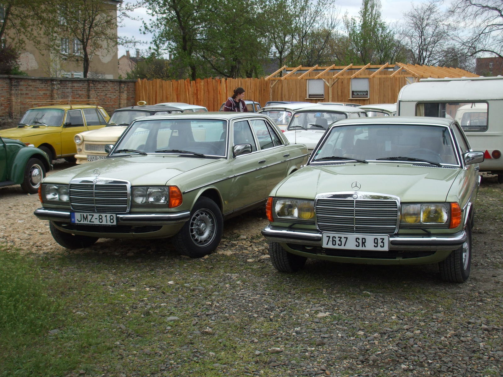 Mercedes w123 sedan & coupe