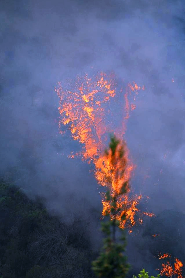 Marbejja tűz 2012