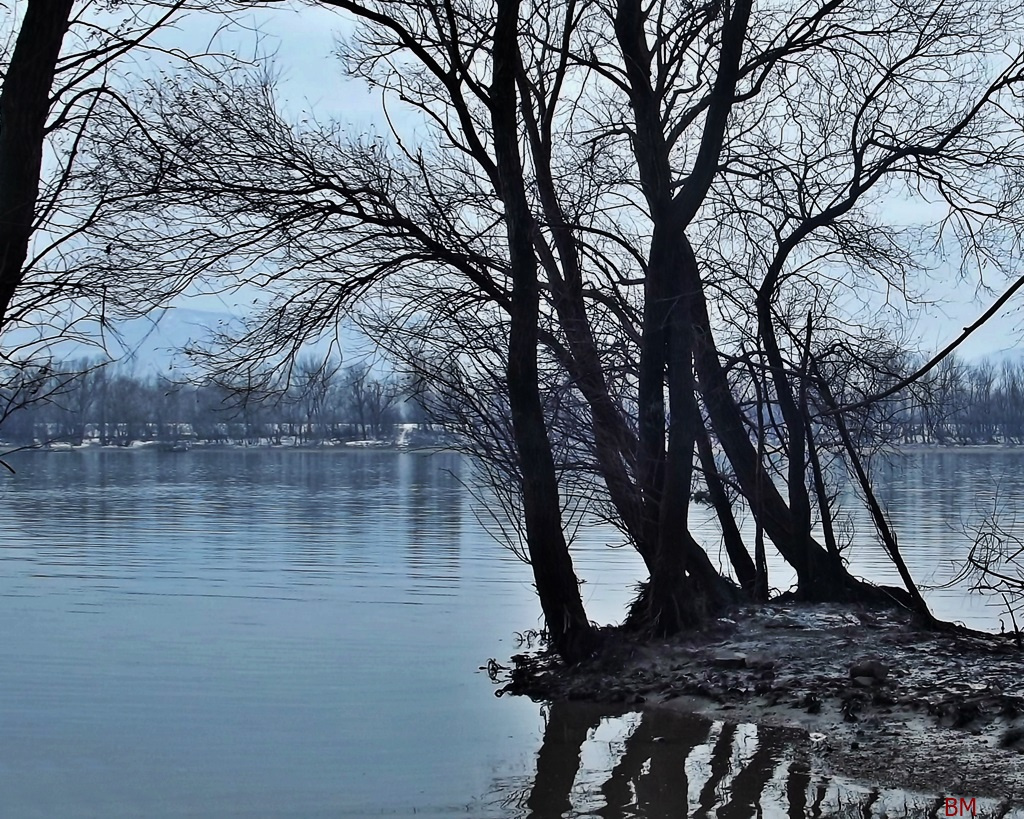 Kék Duna télen