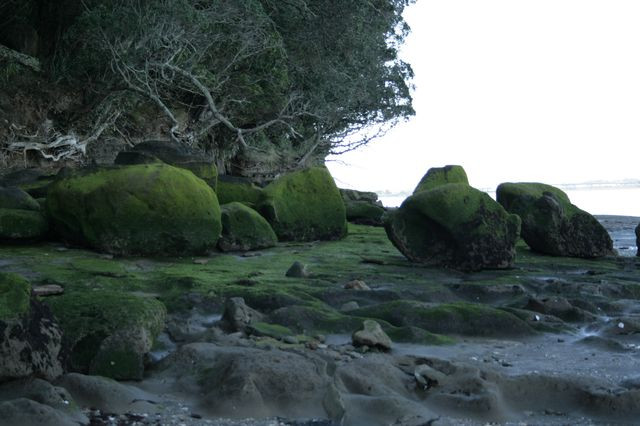 Waikowhai park (6)