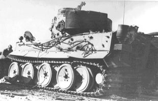 Tigris /Tiger 131/