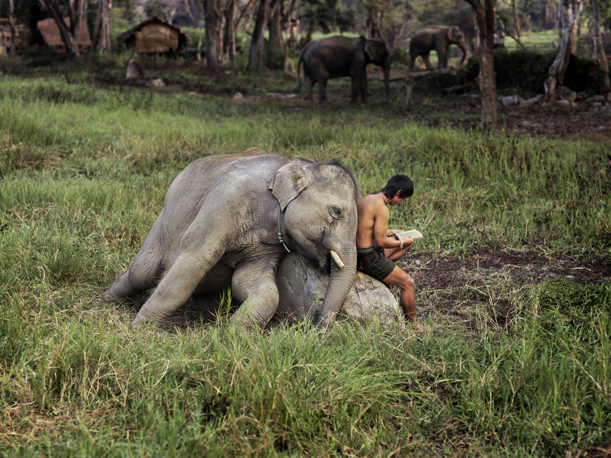 mccurry-thailand