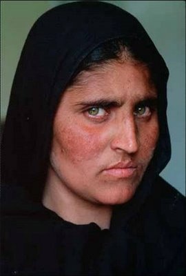 stevemccurryafghangirl1