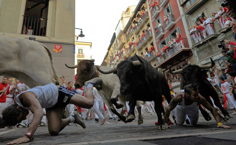 spain-festival-running-bulls-bestas-6-2008