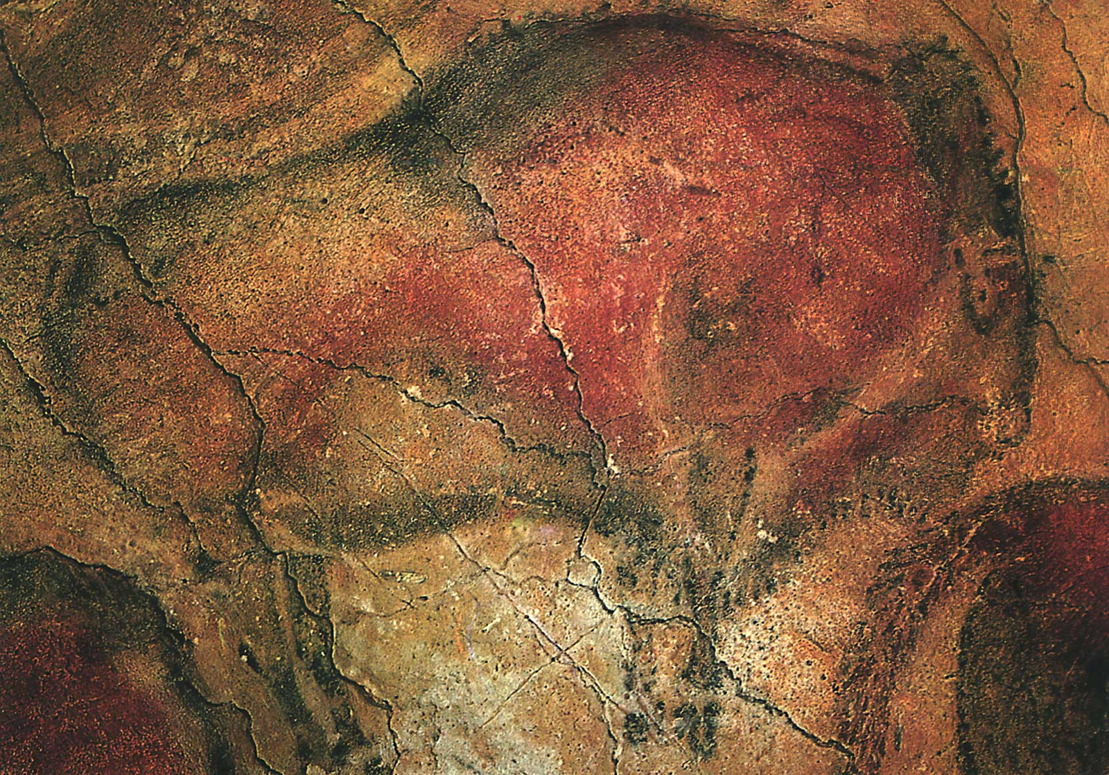 altamira-cave21