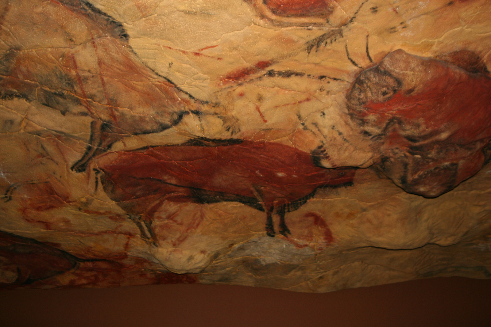 Reproduction cave of Altamira 01