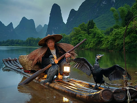 azouri-cormorant-fisherman