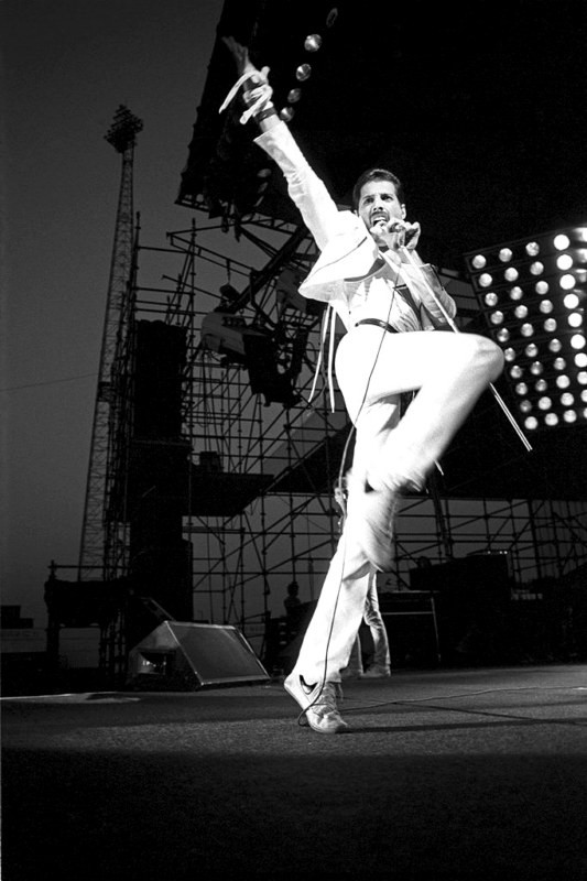 Freddie Mercury Queen (132)