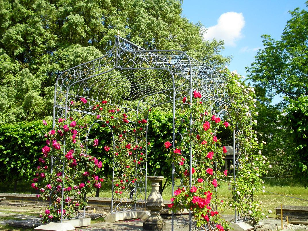 LP-Terrace-Rose-Arbour