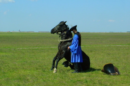 Hungarian betyár