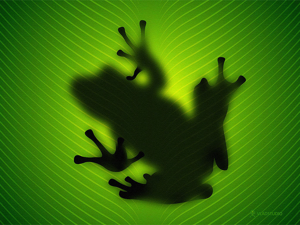 frogs-green-shadow-image-31000