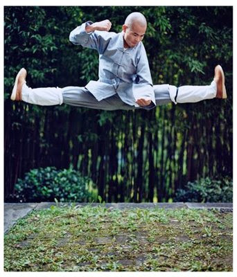 shaolin2