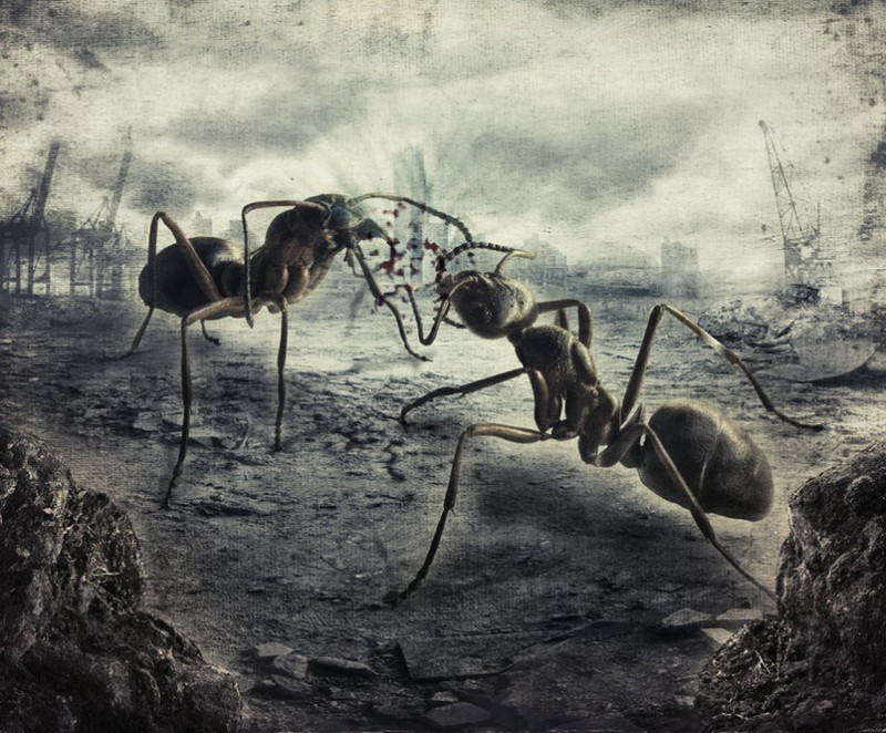 post-apocalyptic-ants-846x700