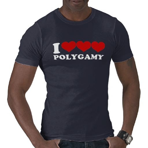 i love polygamy shirt-