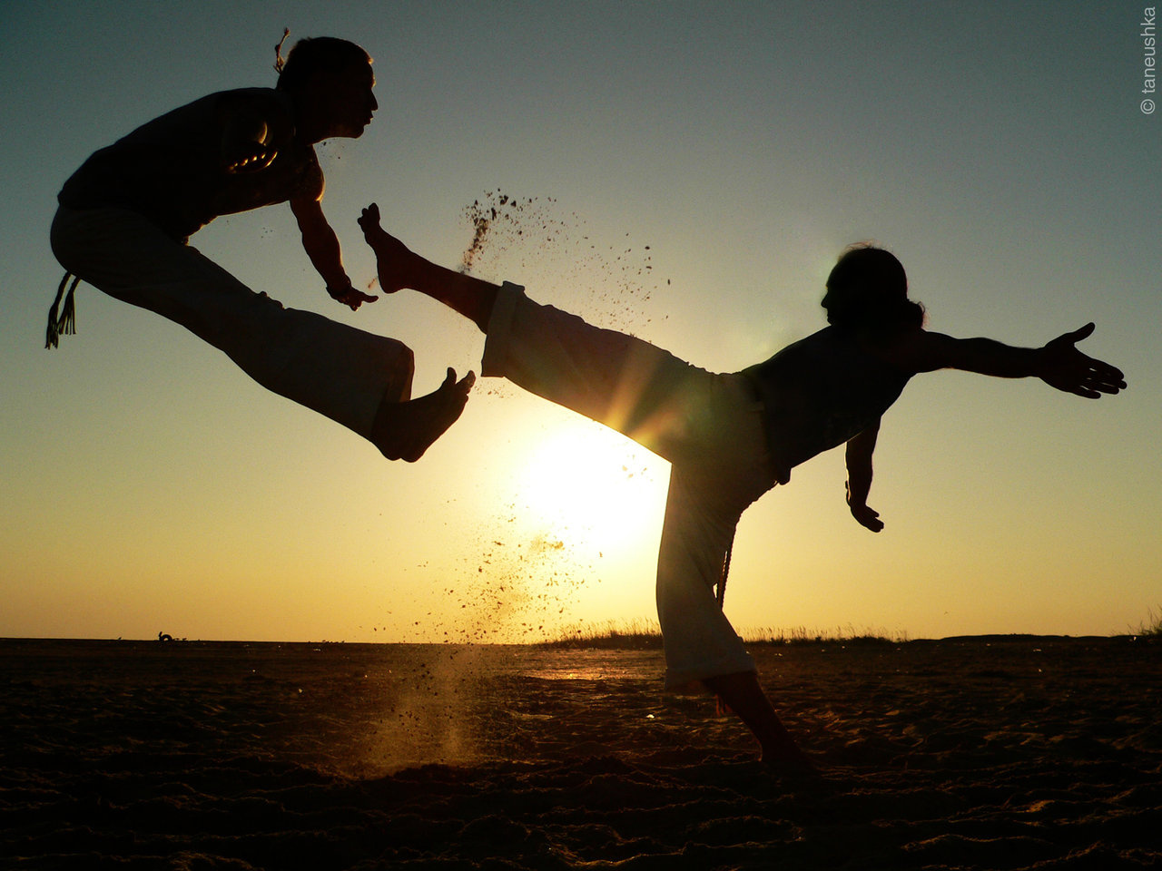 Capoeira-spinned-cesse