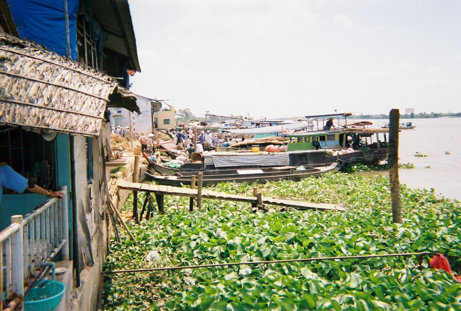 Mekong Delta Local Market Vietnam