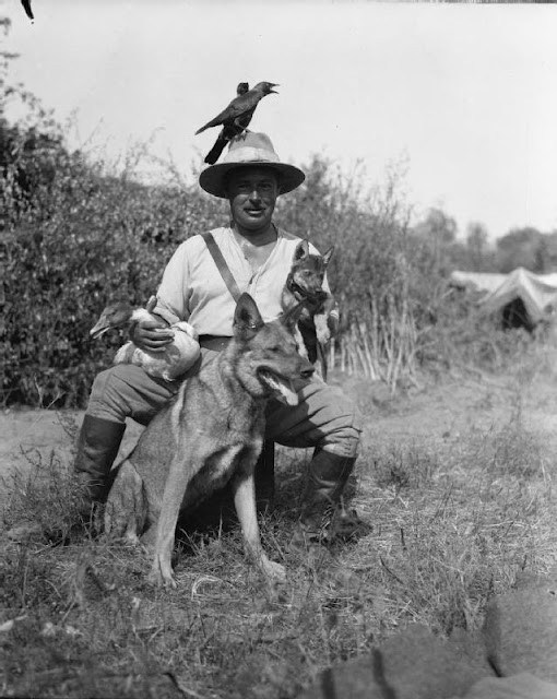 A British officer of the Army Veterinary Corps in Salonika with 