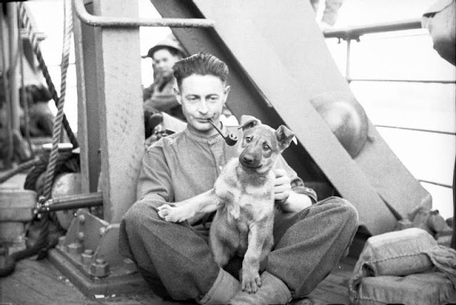 A British soldier and his dog on a ship bound for England after 