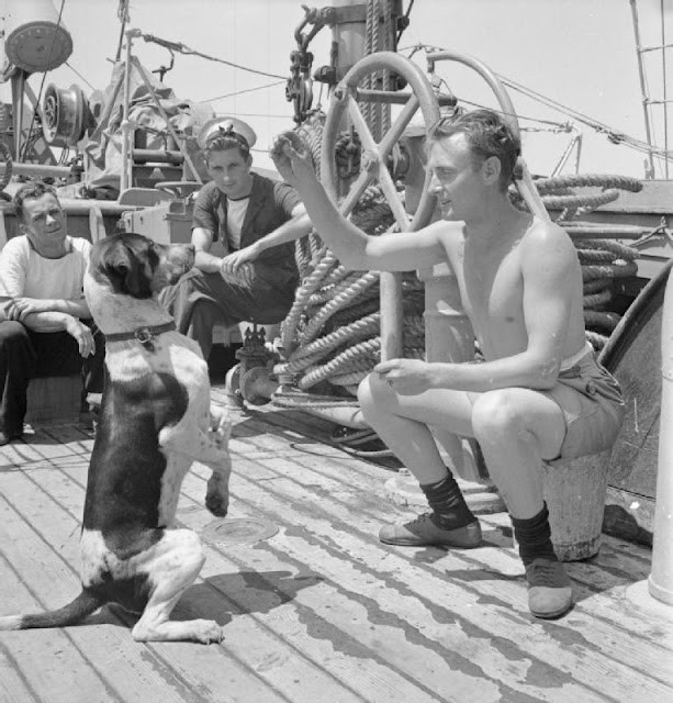 On board HM Motor Minesweeper 88 during minesweeping operations 