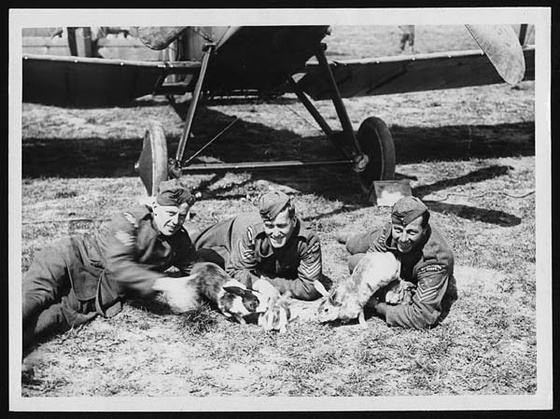 RAF men with pet rabbits ww1
