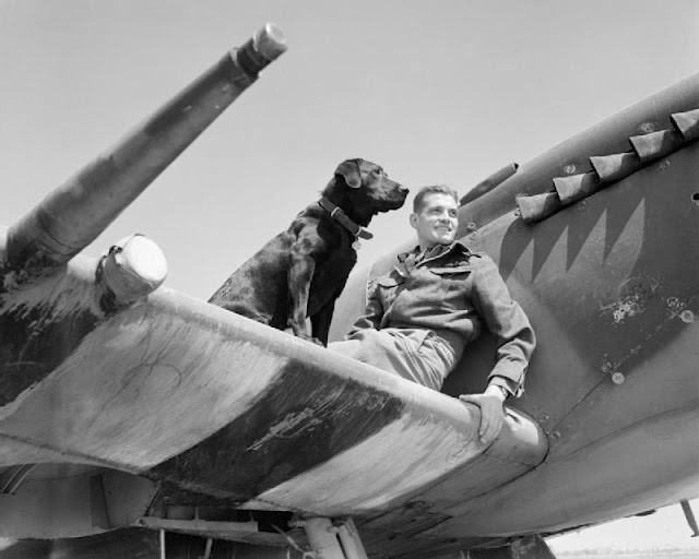 Wing Commander J E Johnson, leader of No. 144 (Canadian) Wing RA
