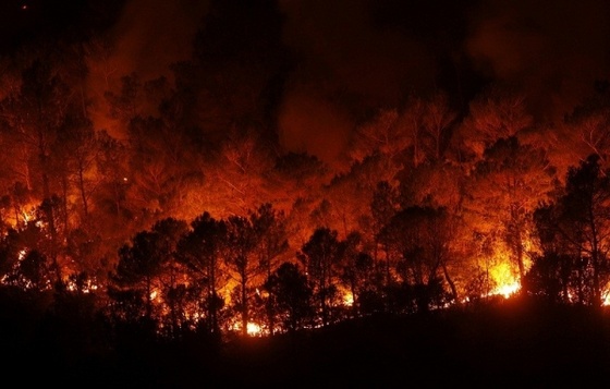 flames-burn-a-forest-near-boadella-at-emporda-area-in-the-spanis