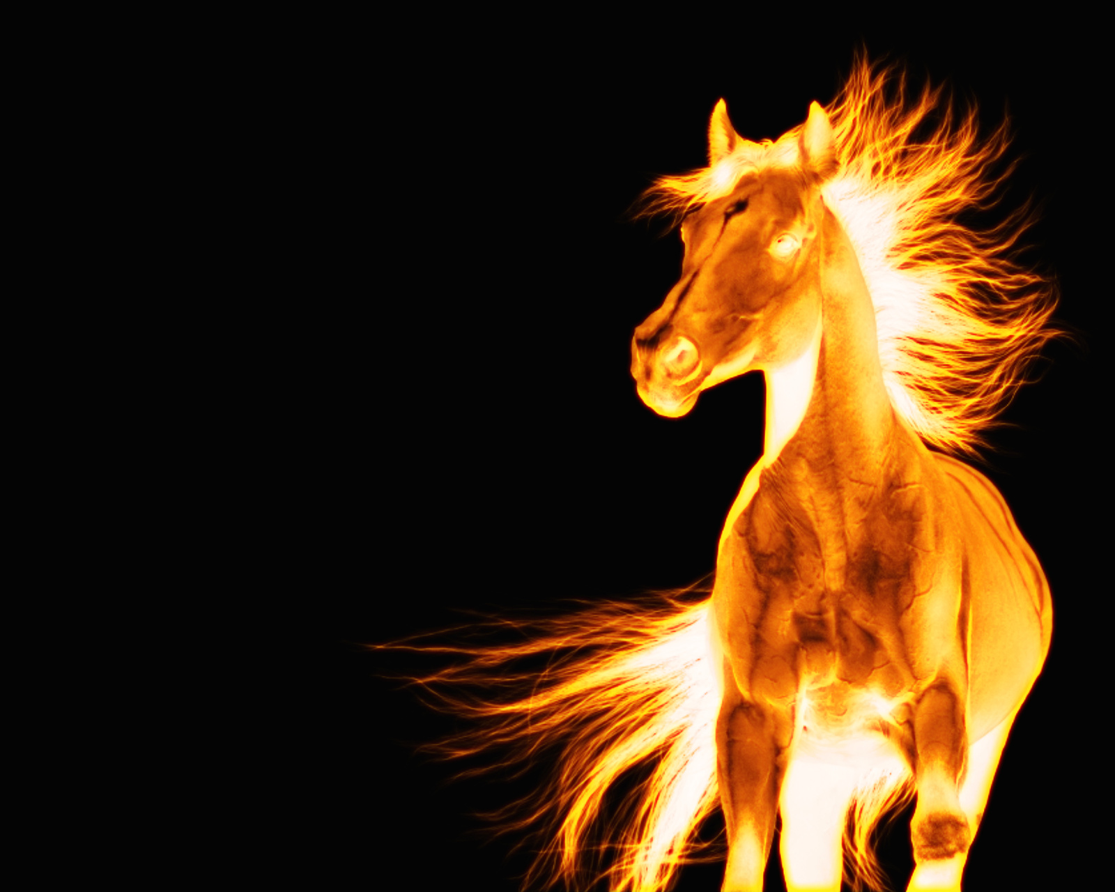 flaming horse