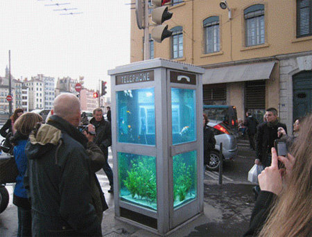 aquarium-phone-booth