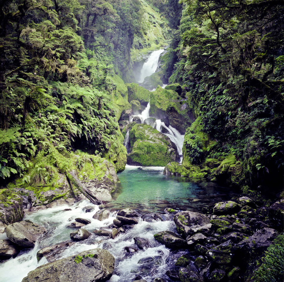 Milford Track 1