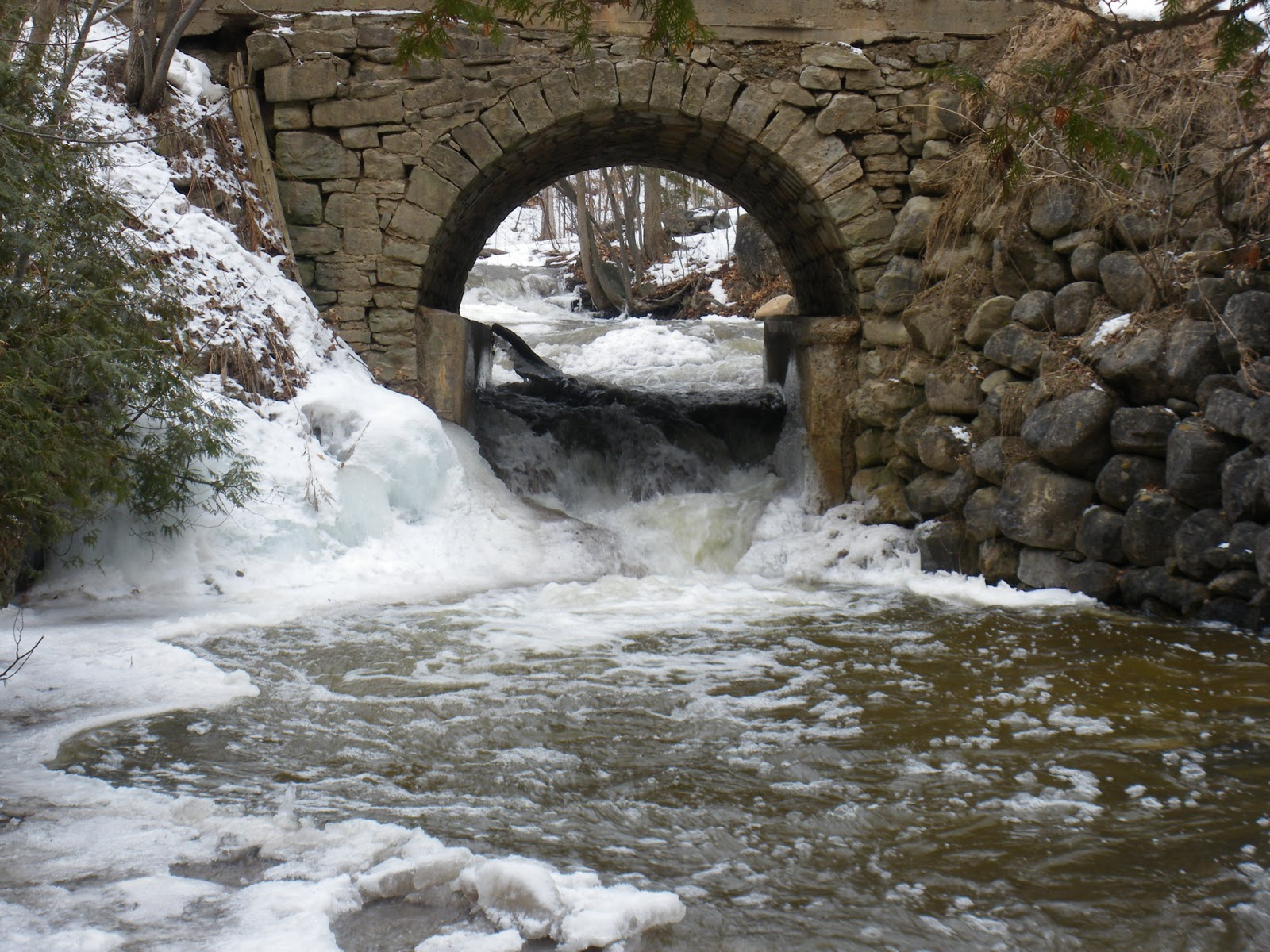 Sunday Bridges