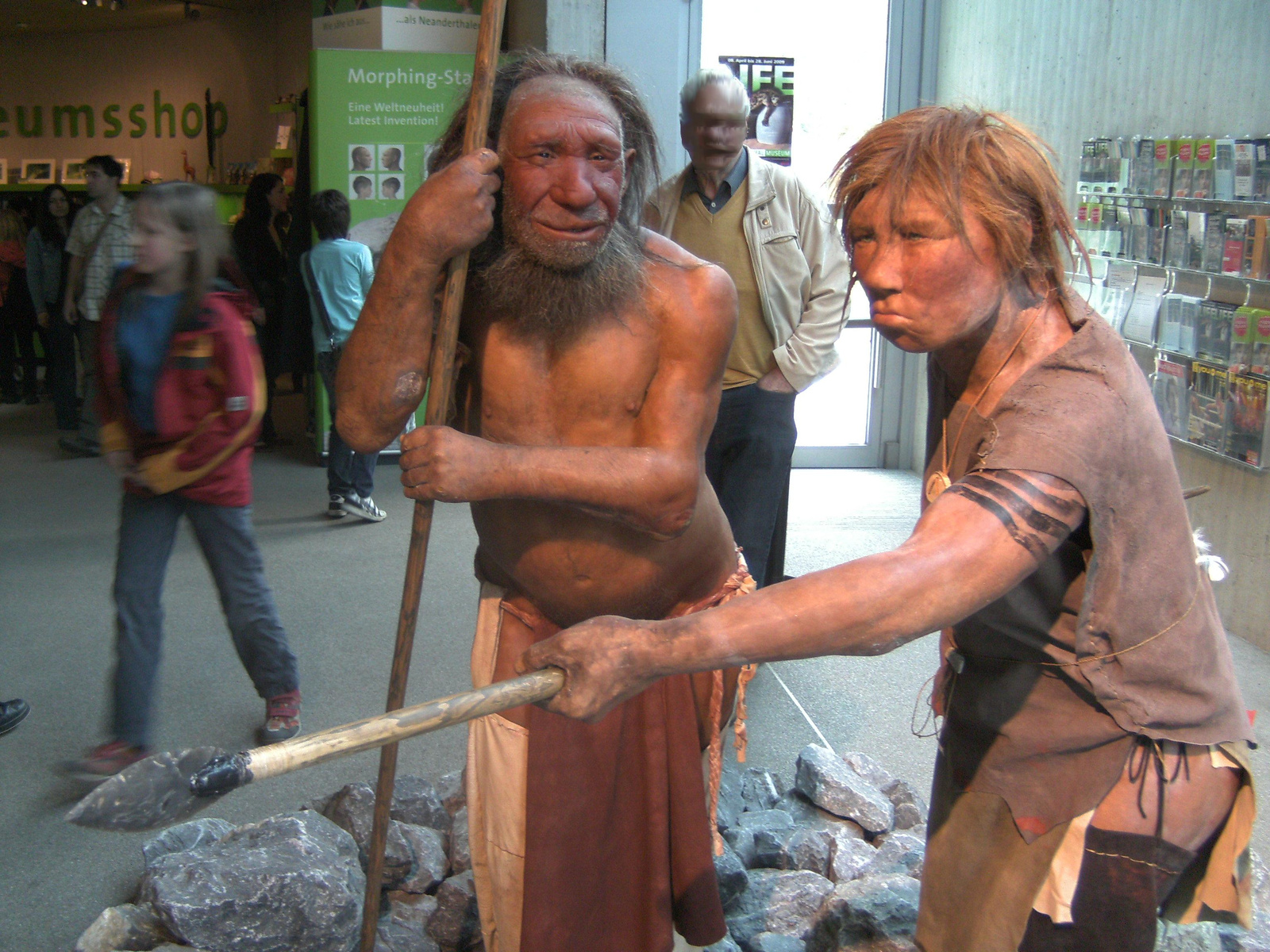 Neandertala homo, modelo en Neand-muzeo