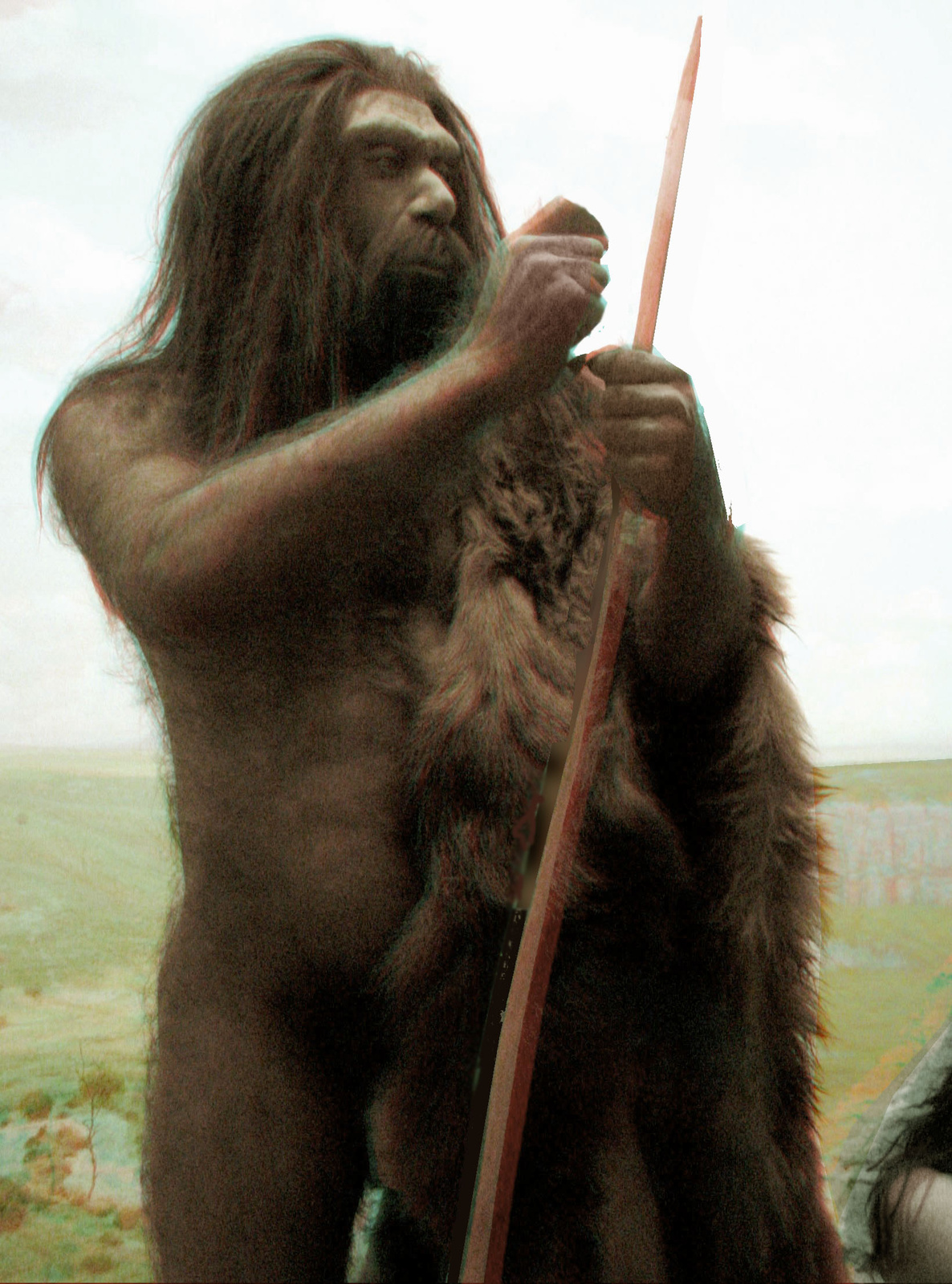 Neanderthal 2D src