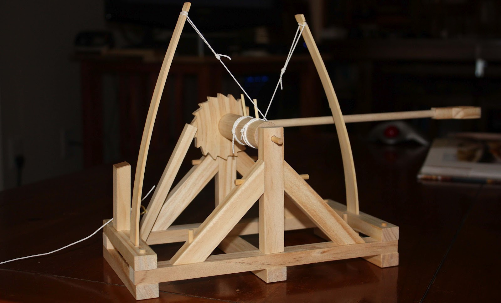 Leonardo Catapult