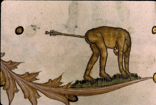 A monkey with an arrow stuck in its butt