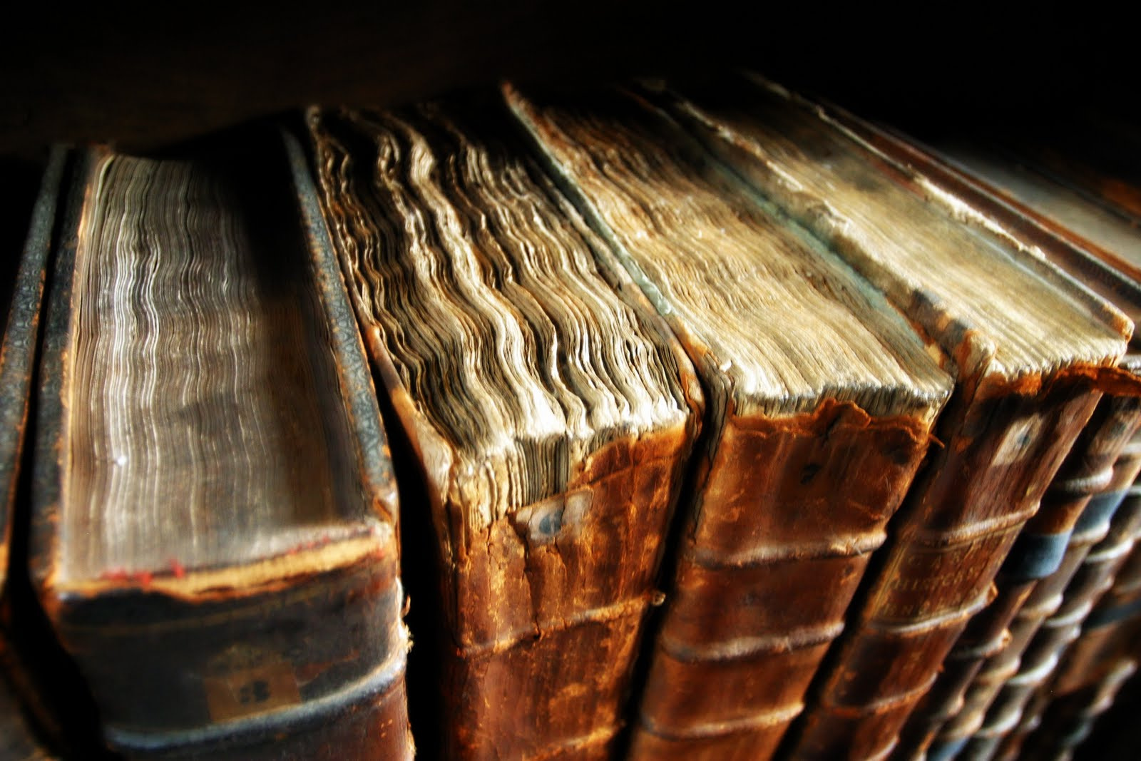 Old book bindings