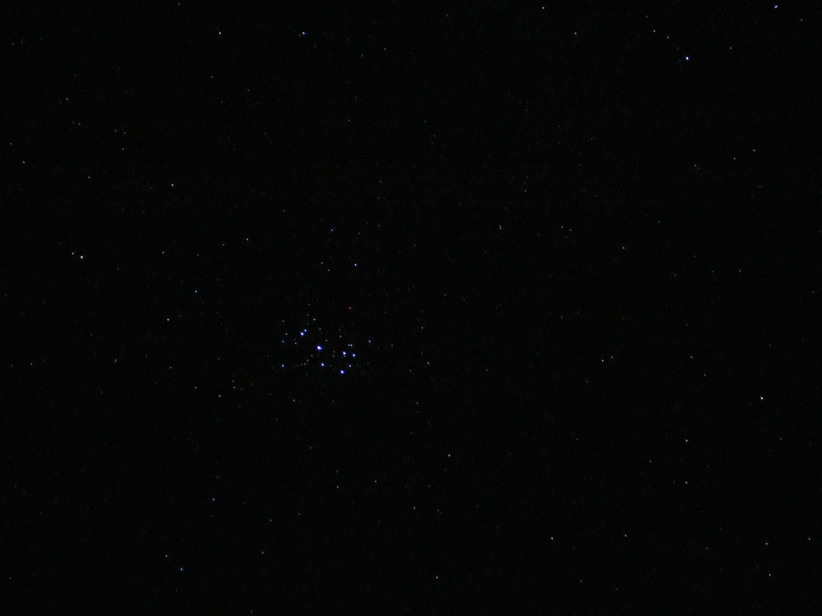 Pleiadok fiastyúk csillagkép
