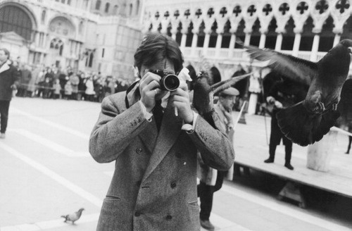 Alan Delon 1962 Velence, Canes Szent Mark tér Venezia