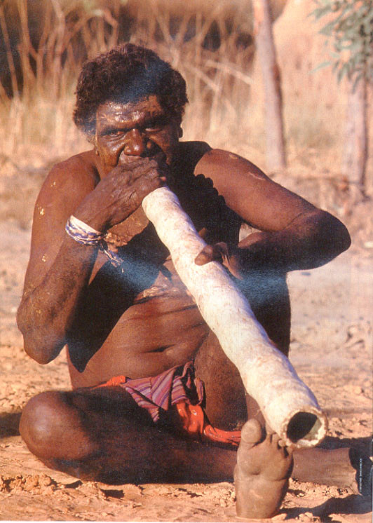 didgeridoo .