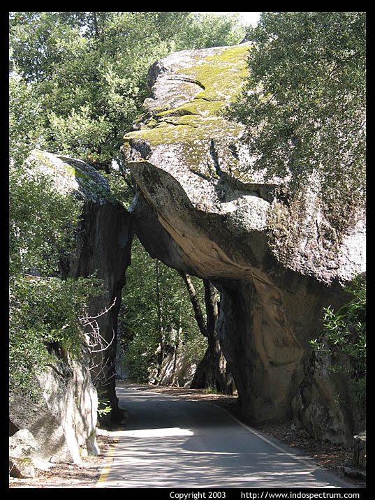 Yosemite Nemzeti Park