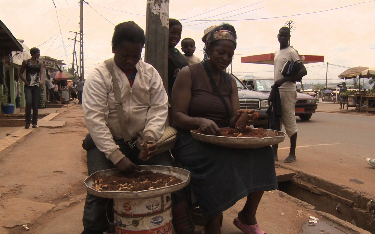 edible insects