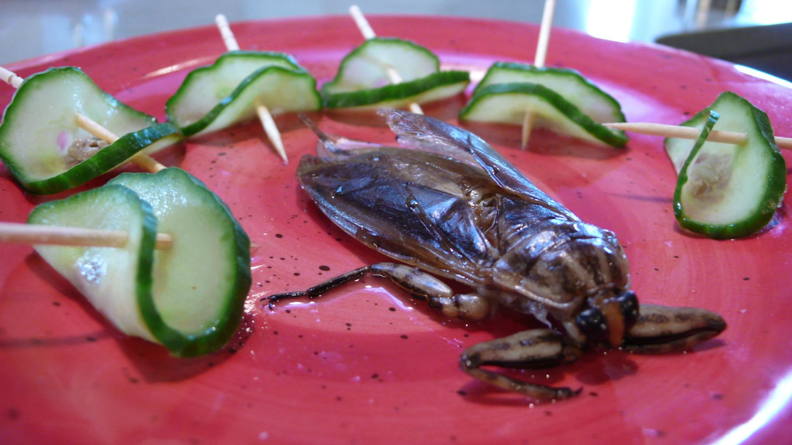 insect food ehető rovarok FAO gasztronómia